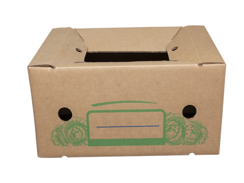 Caja auto armable para lechugas