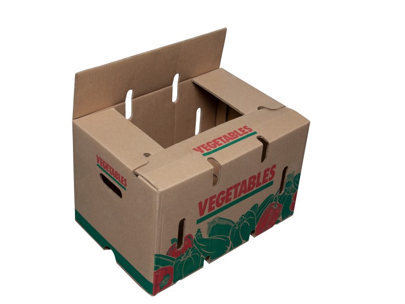 Caja auto armable para vegetales