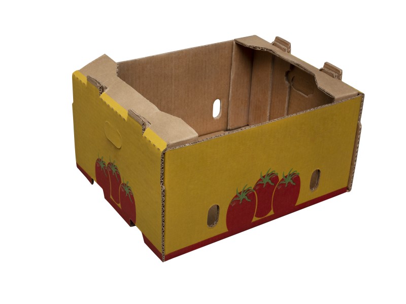 Caja auto armable para tomates