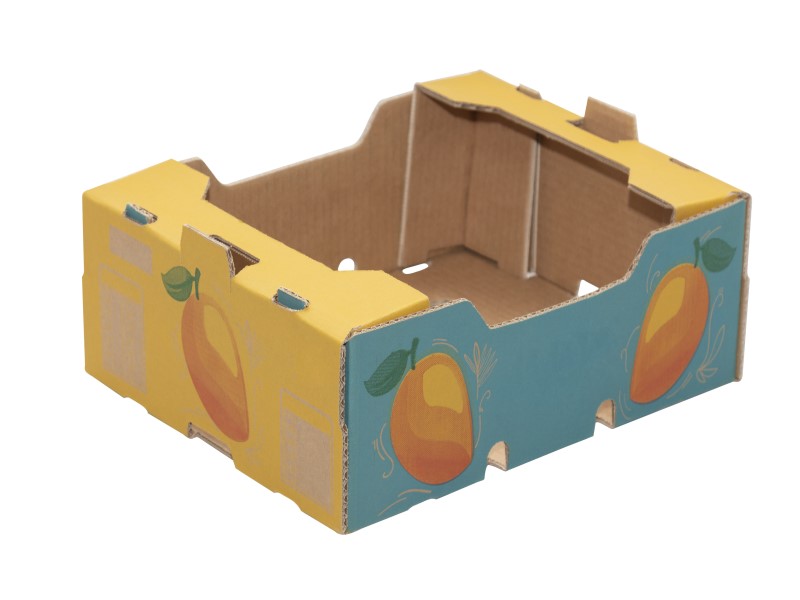 Caja auto armable para mango